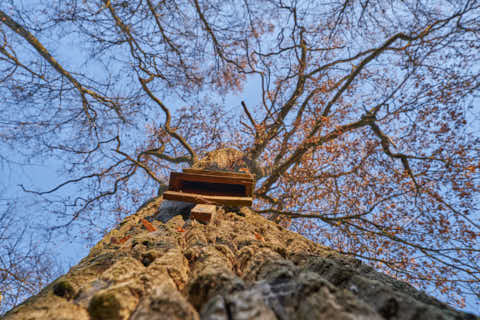Gemeinde Eggenfelden Landkreis Rottal-Inn Gern Lichtlberger Wald (Dirschl Johann) Deutschland PAN